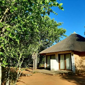 Single Room Thatch